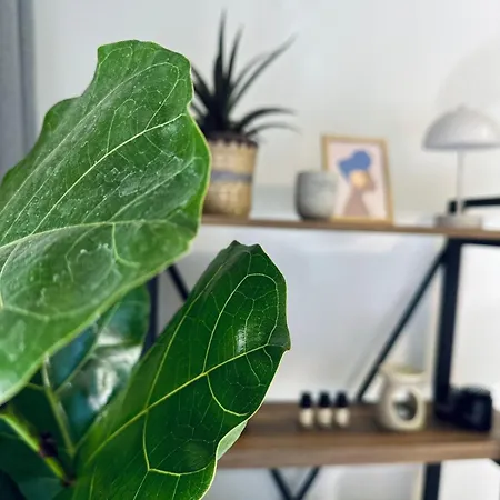Apartment Blue Cozy Nest