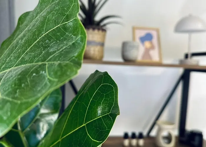 Apartment Blue Cozy Nest